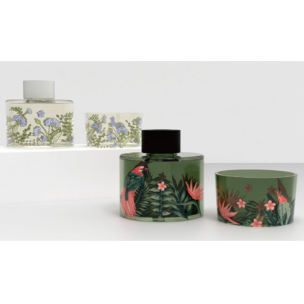 Attractive Reed Diffuser Jungle series box H04